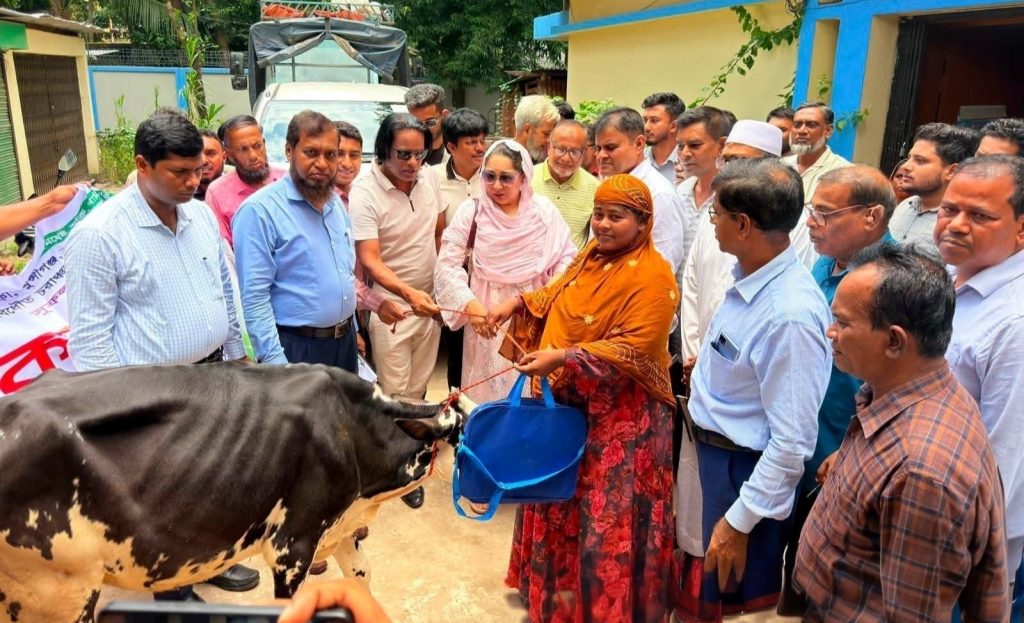 ফরিদপুরে প্রান্তিক খামারিদের মাঝে বকনা গরু বিতরণের শুভ উদ্বোধন করলেন- চৌধুরী নায়াব ইউসুফ, এমপি