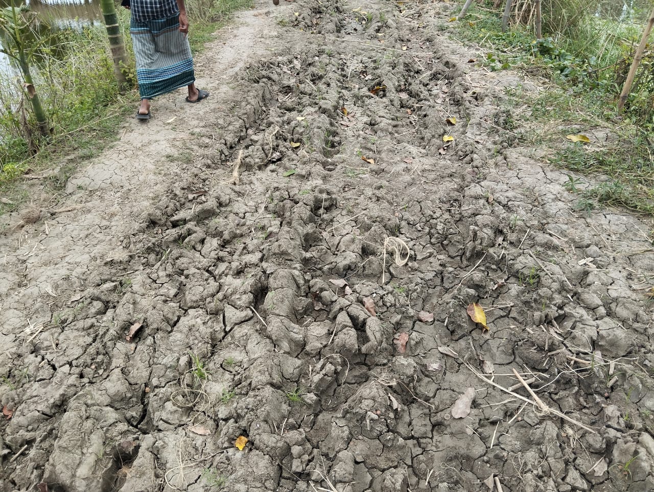 নগরকান্দায় কাঁচা রাস্তার বেহাল দশা, চরম দুর্ভোগে চার গ্রামের মানুষ